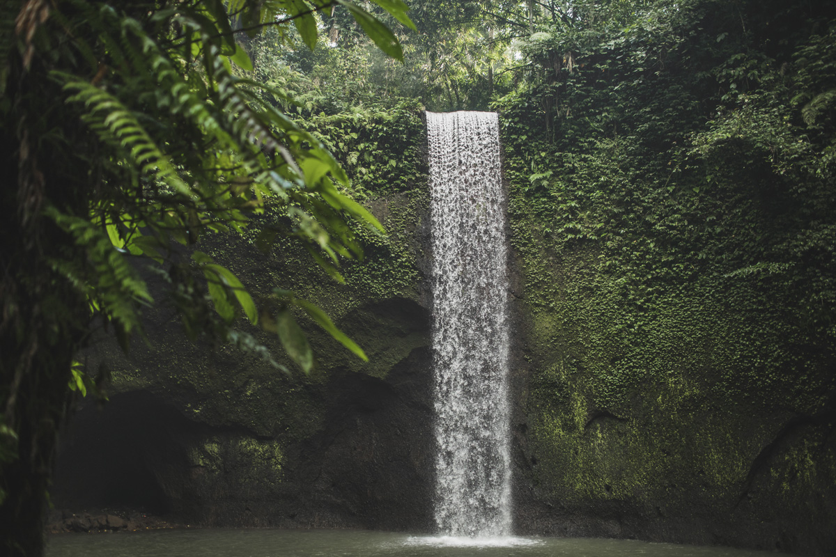 Don’t Miss Out! Uncover the 10 Best Waterfalls in Bali You Won’t See Anywhere Else